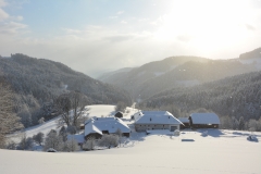 Blick ins Tal im Winter